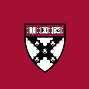 Image of an icon